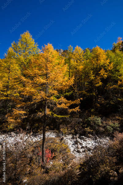  артикул 10058944