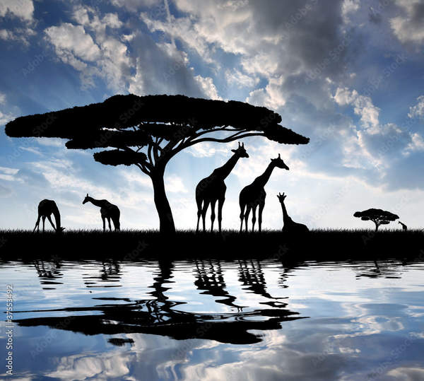  артикул 10059143