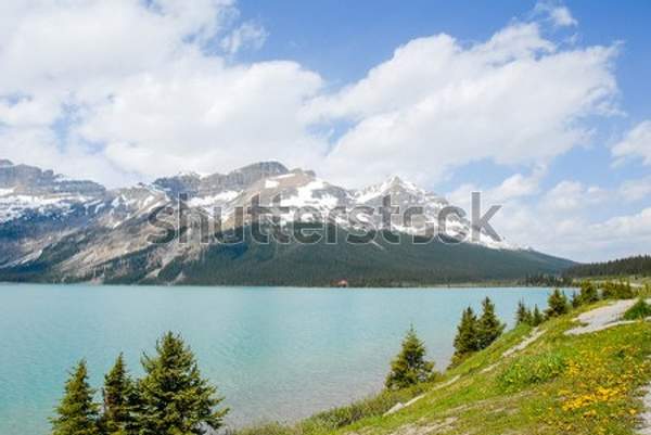  артикул 10059983