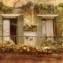 Изображение фотообоев