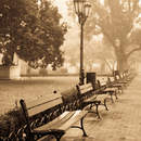 Фотообои - Тихий парк