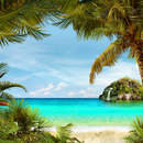 Изображение фотообоев