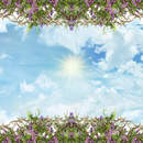 Изображение фотообоев