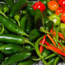 Фотообои для кухни "Перцы"