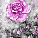 Изображение фотообоев