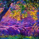 Изображение фотообоев