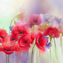 Изображение фотообоев