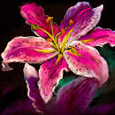 Изображение фотообоев