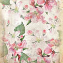 Изображение фотообоев