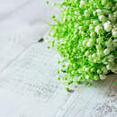 Изображение фотообоев