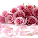 Обои с розами для спальни