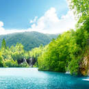 Изображение фотообоев