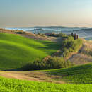 Изображение фотообоев