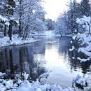 Изображение фотообоев