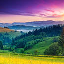 Изображение фотообоев