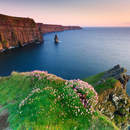 Изображение фотообоев