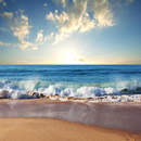 Изображение фотообоев