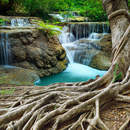 Изображение фотообоев