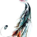 Изображение фотообоев