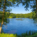 Пейзаж с видом на лесное озеро