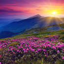 Изображение фотообоев