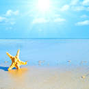 Изображение фотообоев