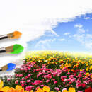 Изображение фотообоев