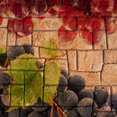 Винтажные обои с виноградом