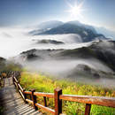 Изображение фотообоев