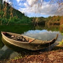 Изображение фотообоев