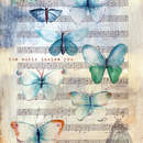 Обои на стену с нотами и бабочками (винтаж)